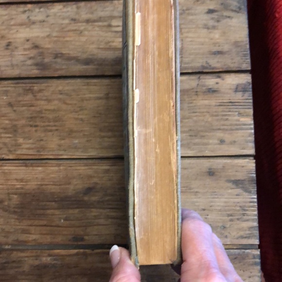 Rare Black Beauty Book (Inscription from 1906) - Picture 5 of 12